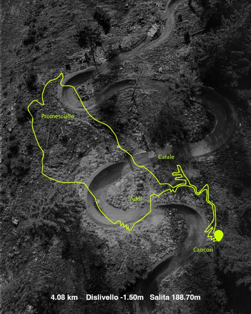 whatsapp image 2026 02 06 at 14.20.43 (1)