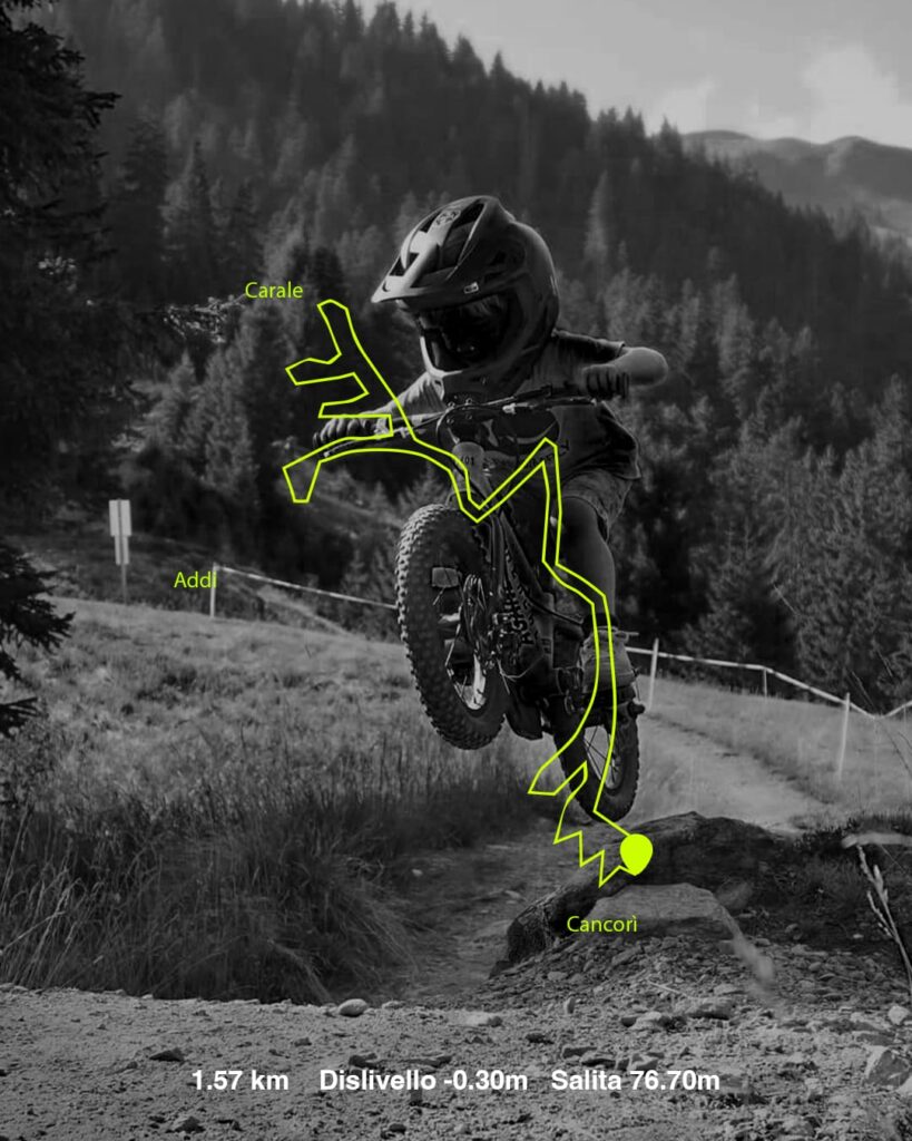 whatsapp image 2026 02 06 at 14.20.43 (2)