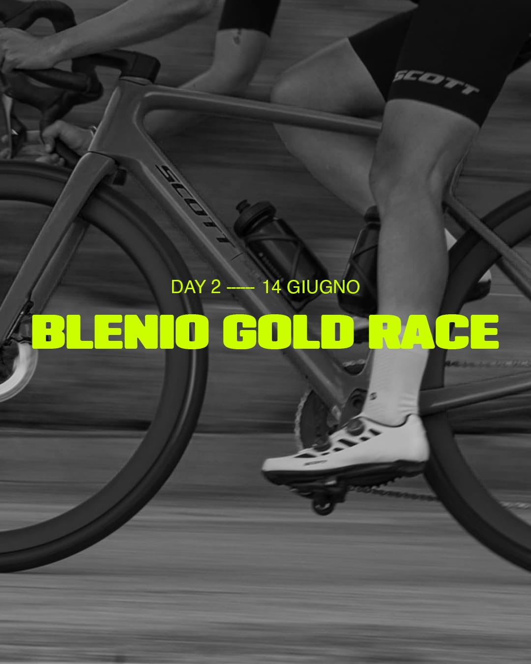 whatsapp image 2026 02 06 at 14.20.59